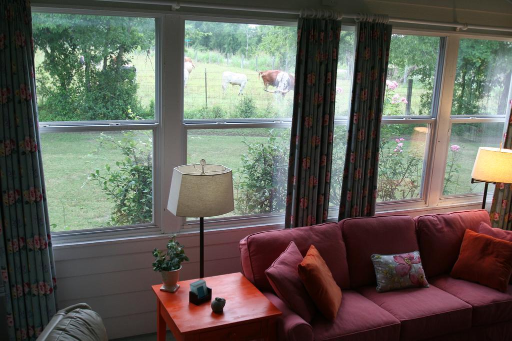 Onion Creek Cottage Austin Exteriér fotografie
